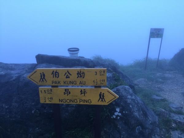 拯救小犀牛