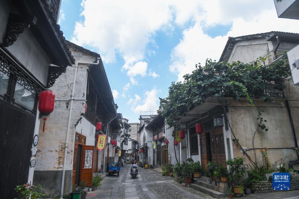 麦克斯：兄弟魔咒