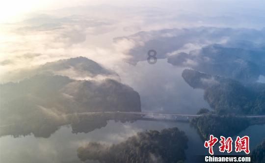 氟虫腈+虫螨蜻一起打高梁可以吗？游戏画面